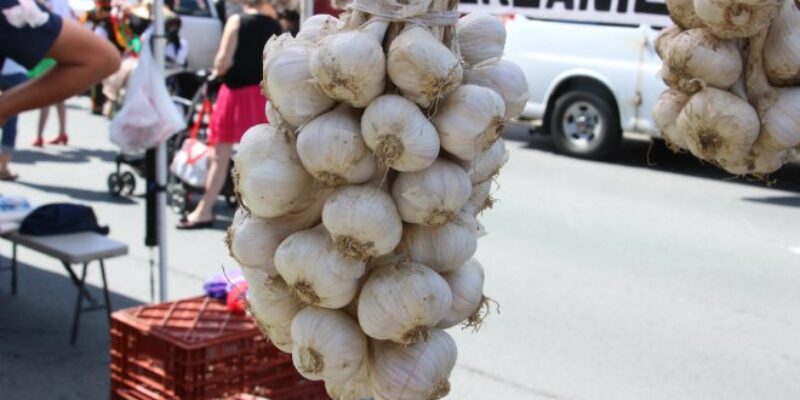 Ukrainian Garlic Food Fest